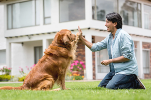 Znate da vaš pas, osim što vam pravi društvo, ima i duhovnu misiju da vas podrži u najtežim trenucima vašeg života?