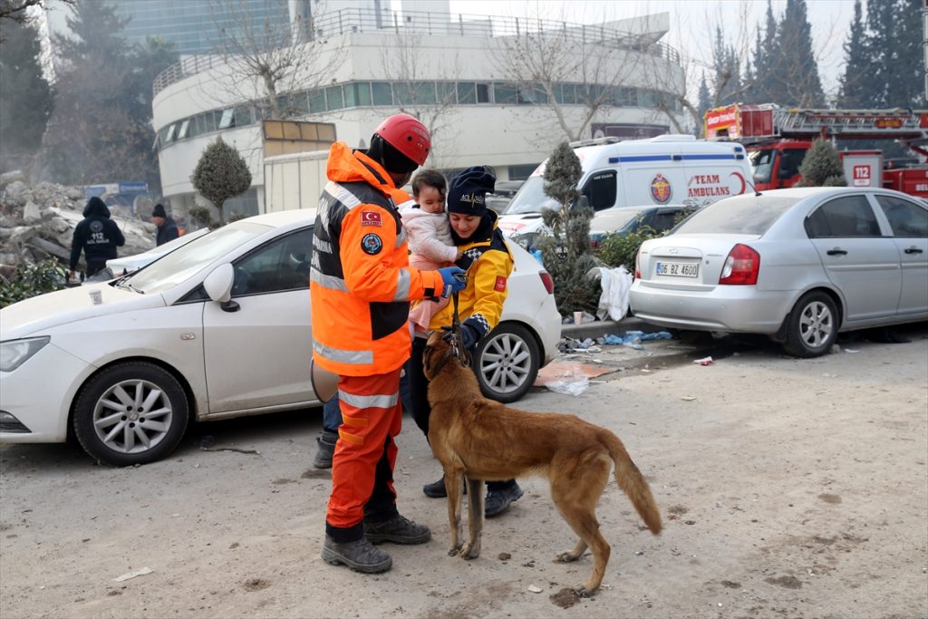 Pas Alfa traži nestale u zemljotresu spasilac žena dijete dan