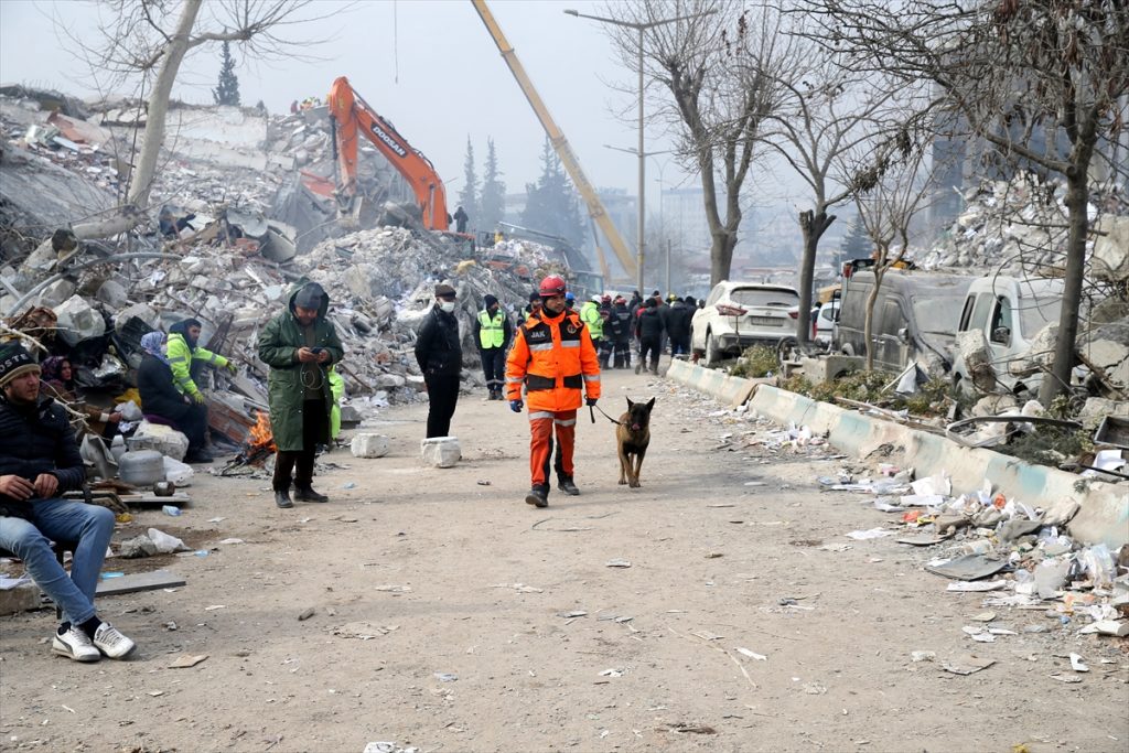 Pas Alfa sa spasiocem traži preživjele