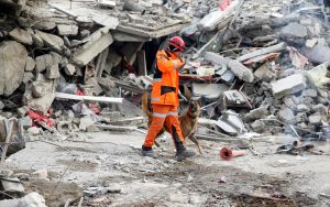 broj mrtvih u zemljotresima u Turskoj