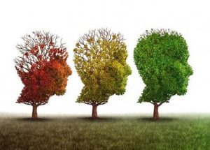 rizik od pojave demencije tri ilustracije drveta koje prilkazuju propadanje mozga