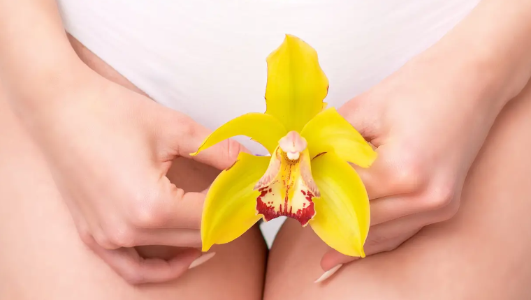 Vaginalni vjetar žena drži žuti cvijet na intimi