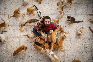 Muhammed Vattar i njegovi prijatelji iz Halepa, ljudi dobrog srca, liječe desetine mačaka i pasa povrijeđenih u Siriji