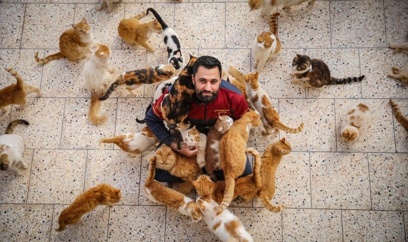 Muhammed Vattar i njegovi prijatelji iz Halepa, ljudi dobrog srca, liječe desetine mačaka i pasa povrijeđenih u Siriji
