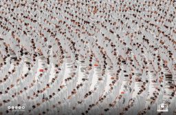 Stotine hiljada vjernika, koji su došli iz različitih dijelova svijeta u Saudijsku Arabiju, klanjalo je prvi džuma-namaz u ramazanu