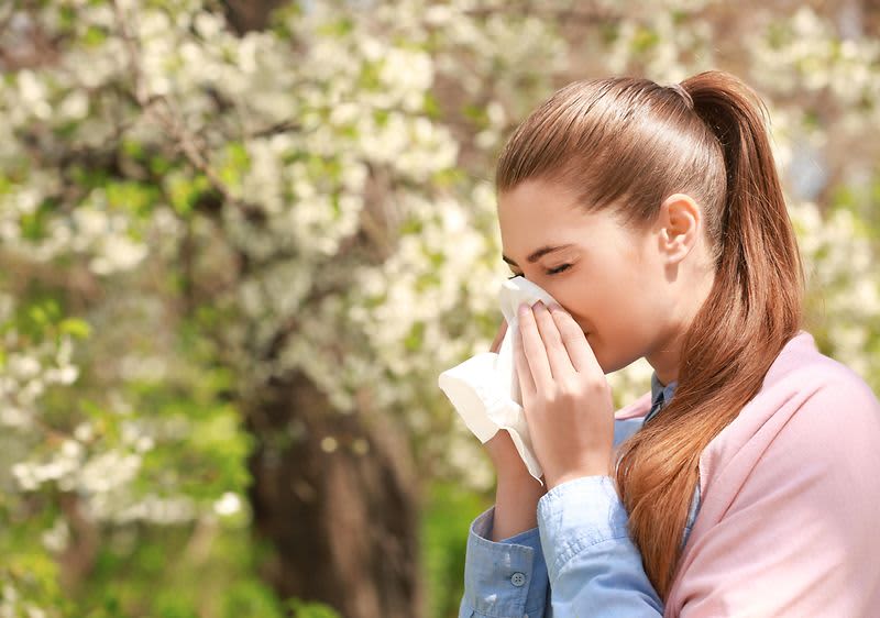 alergija polen