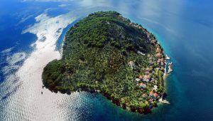 Ošljak je najmanji nastanjeni otok u Hrvatskoj za koji se vjeruje da je naseljen još od antike. Prostire se na 0,39 kvadratnih kilometara