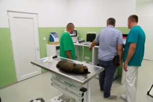 U Sarajevu je u petak otvoren Urgentni centar za hitnu pomoć životinjama, jedini takav u Bosni i Hercegovini.