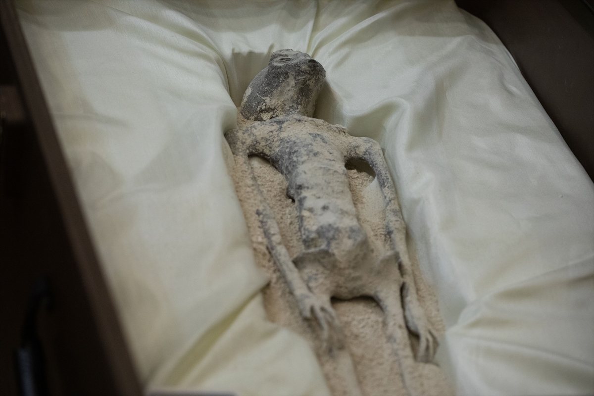 Dva očito "neljudska" leša navodnih vanzemaljaca stara, kako se tvrdi, 1.000 godina pronađena su sačuvana u peruanskom rudniku